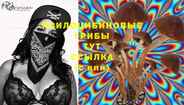 амф Абдулино