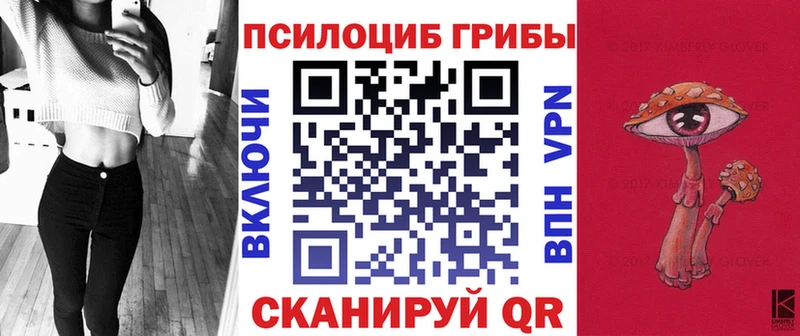 как найти   Лакинск  Псилоцибиновые грибы GOLDEN TEACHER 